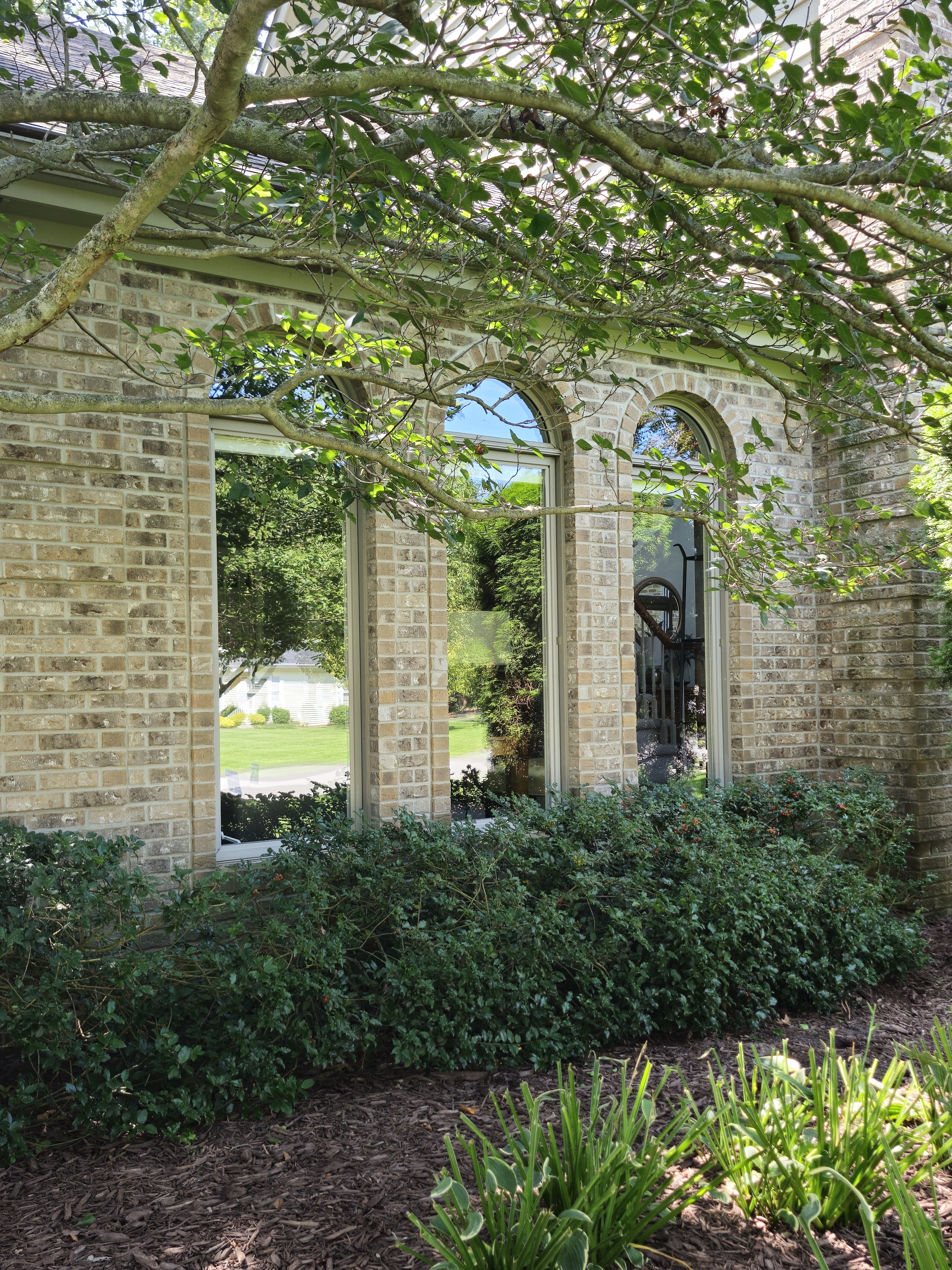 Exterior Window Cleaning photo 5