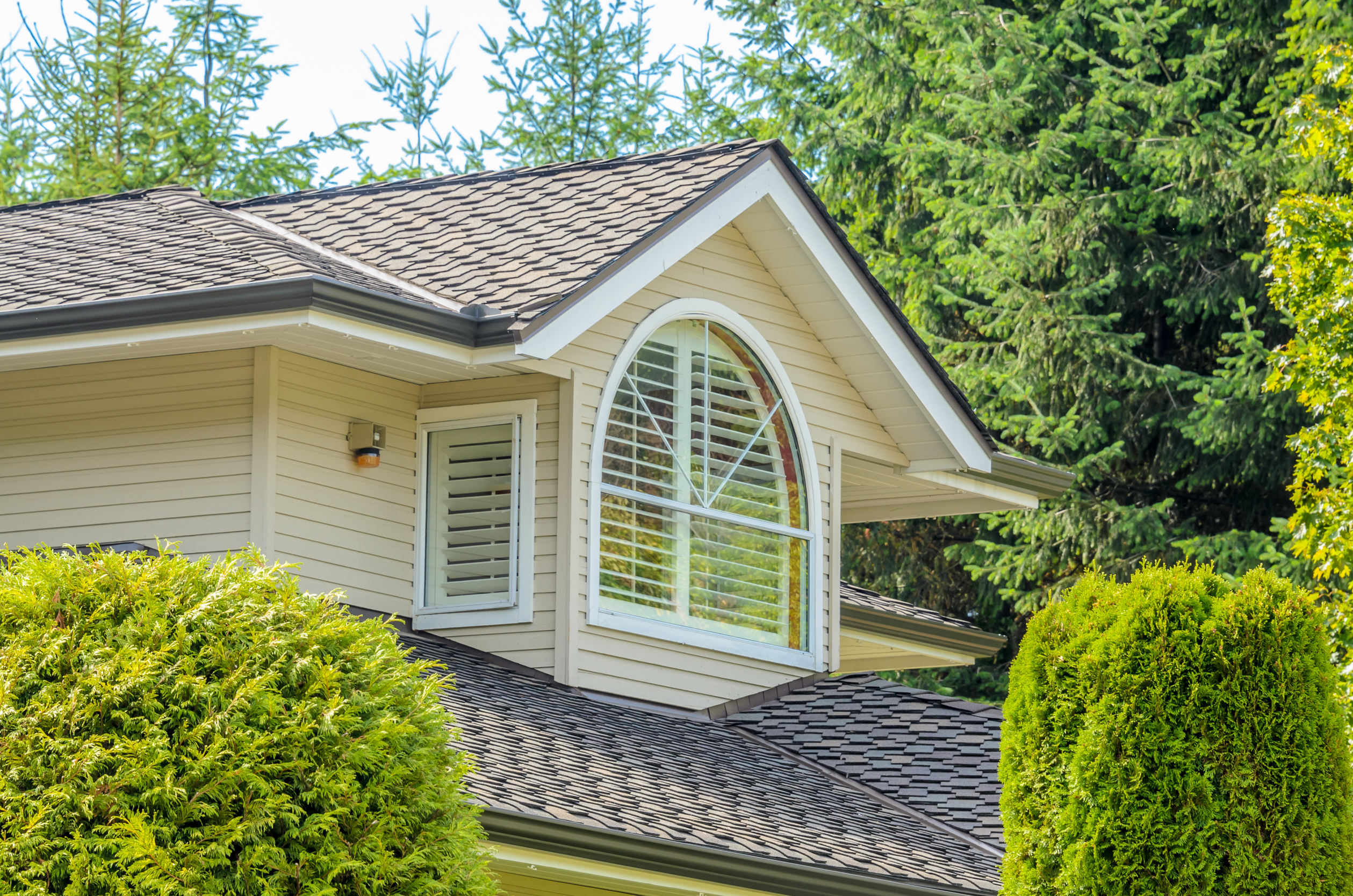 Professional window cleaning